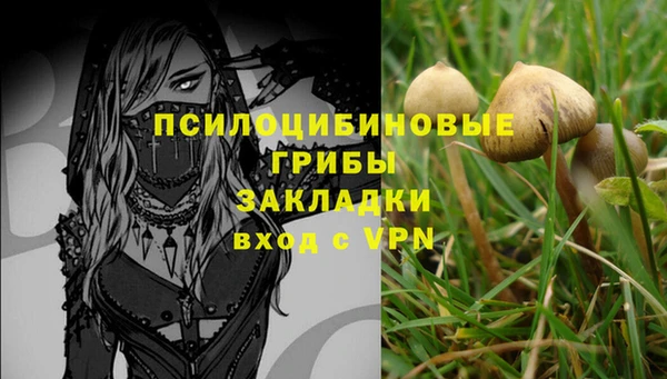мескалин Майский